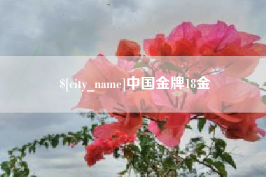 如东中国金牌18金