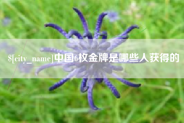 如东中国6枚金牌是哪些人获得的