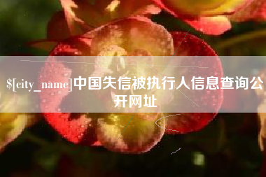 如东中国失信被执行人信息查询公开网址