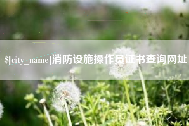 如东消防设施操作员证书查询网址