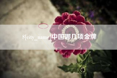 如东中国哪几项金牌