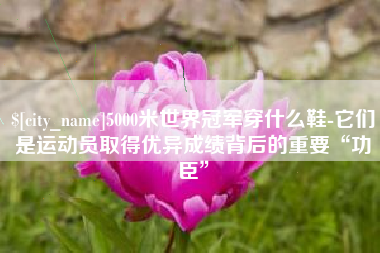 如东5000米世界冠军穿什么鞋-它们是运动员取得优异成绩背后的重要“功臣”