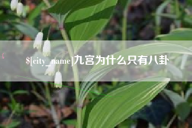 如东九宫为什么只有八卦