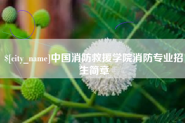 如东中国消防救援学院消防专业招生简章