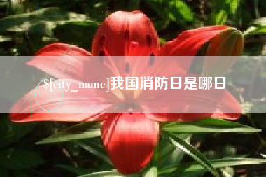 如东我国消防日是哪日