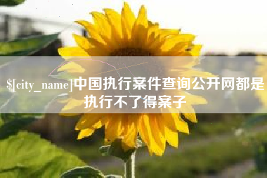 如东中国执行案件查询公开网都是执行不了得案子