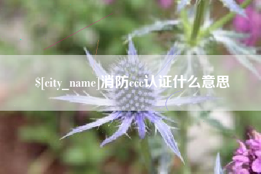 如东消防ccc认证什么意思