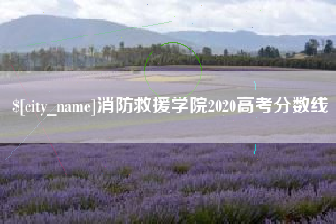 如东消防救援学院2020高考分数线