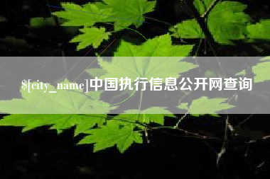 如东中国执行信息公开网查询