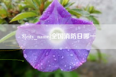 如东全国消防日哪一