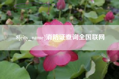 如东消防证查询全国联网