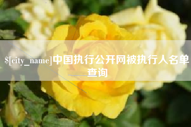 如东中国执行公开网被执行人名单查询