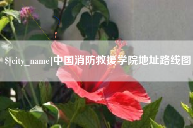 如东中国消防救援学院地址路线图