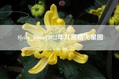如东2022年九宫格飞星图