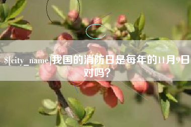如东我国的消防日是每年的11月9日对吗？