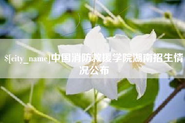 如东中国消防救援学院湖南招生情况公布