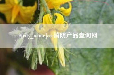 如东ccc消防产品查询网