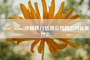 如东中国执行信息公开网的网址是什么