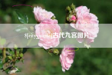 如东古代九宫图片