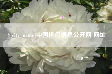 如东中国执行信息公开网 网址