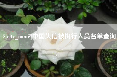 如东中国失信被执行人员名单查询