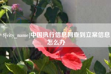 如东中国执行信息网查到立案信息怎么办