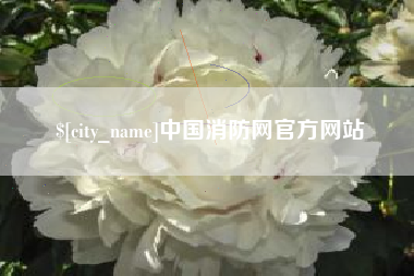 如东中国消防网官方网站