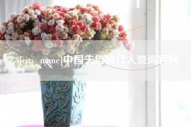 如东中国失信执行人查询官网