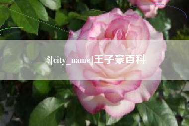 如东王子豪百科