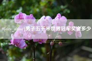 如东男子五千米世界冠军奖金多少