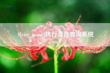如东执行公告查询系统