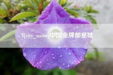 如东中国金牌都是啥