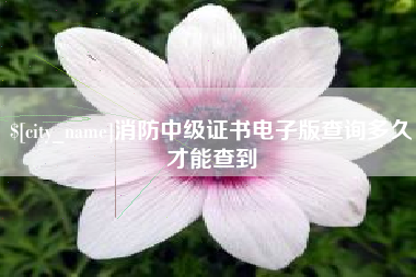 如东消防中级证书电子版查询多久才能查到