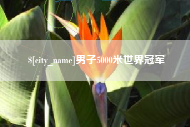 如东男子5000米世界冠军