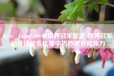 如东5000米世界冠军配速-世界冠军们往往能在比赛中巧妙地分配体力