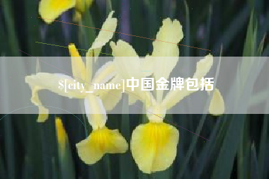 如东中国金牌包括 如东中国金牌包括