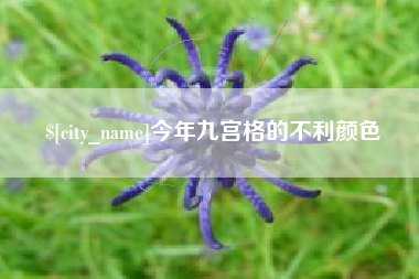如东今年九宫格的不利颜色