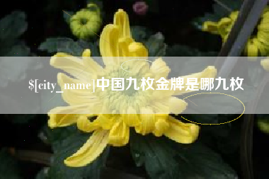 如东中国九枚金牌是哪九枚