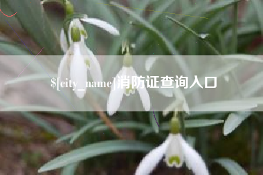 如东消防证查询入口