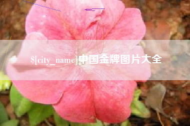 如东中国金牌图片大全