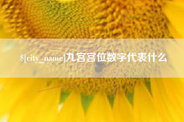 如东九宫宫位数字代表什么