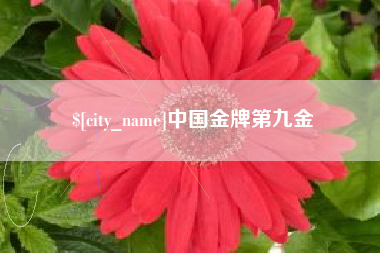 如东中国金牌第九金