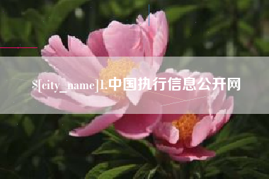 如东1.中国执行信息公开网