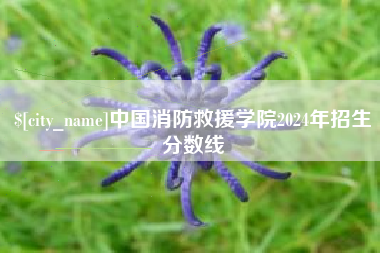 如东中国消防救援学院2024年招生分数线