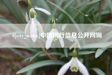 如东中国执行信息公开网询