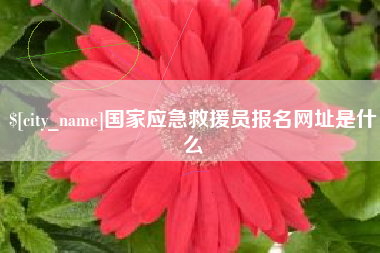 如东国家应急救援员报名网址是什么