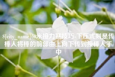 如东60米接力赛技巧-下压式则是传棒人将棒的前部由上向下传到接棒人手中