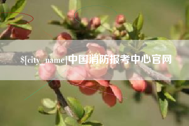 如东中国消防报考中心官网