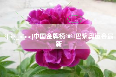 如东中国金牌榜2024巴黎奥运会最新