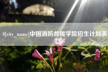 如东中国消防救援学院招生计划表